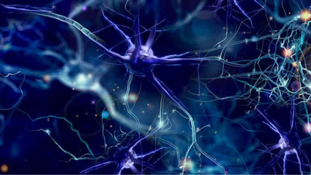 Specialist Seating and Huntington’s Disease
