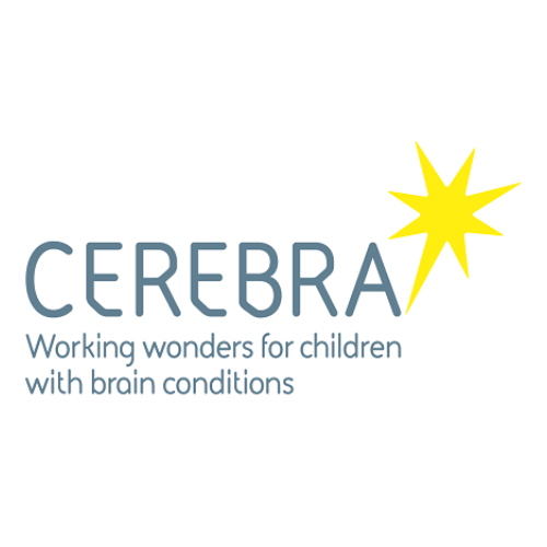 Specialist Seating Funding cerebra